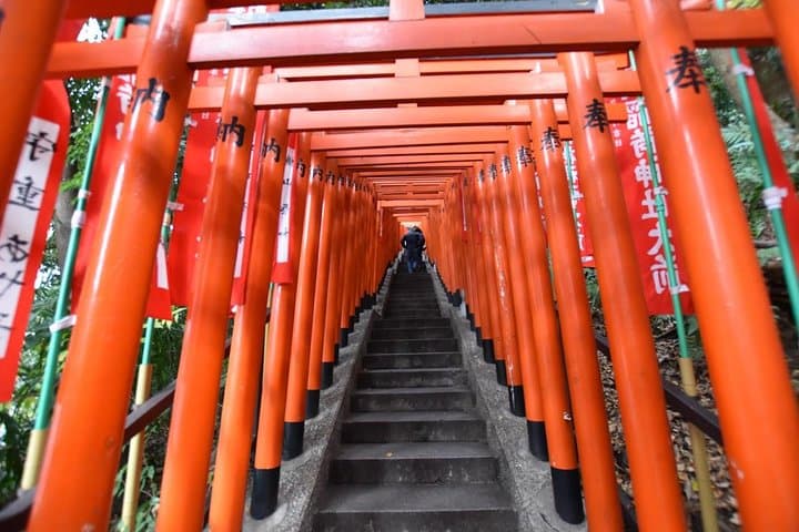 Haneda Layover tour of 5hours with local Japanese guide by car