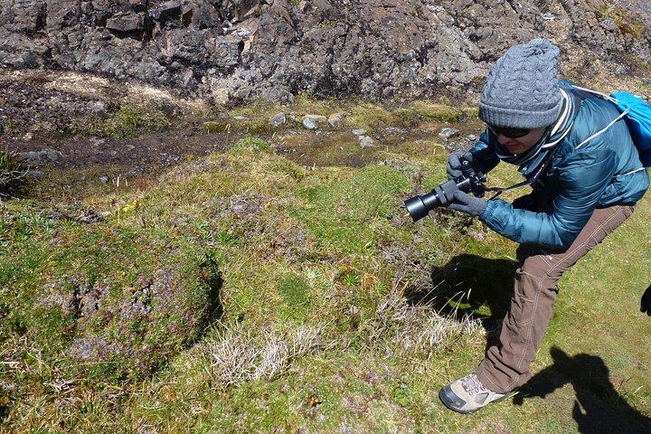Cajas National Park tour from Cuenca
