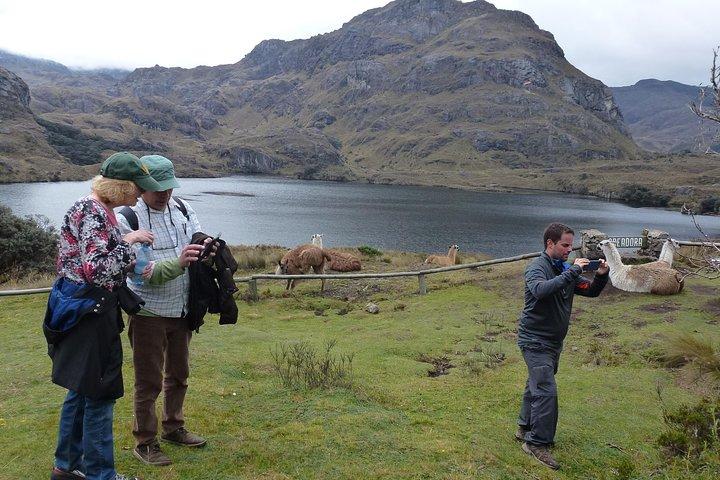 Cajas National Park tour from Cuenca