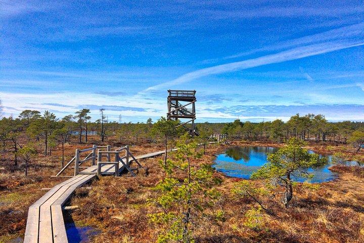 From Riga: Best of Kemeri National Park In One Day