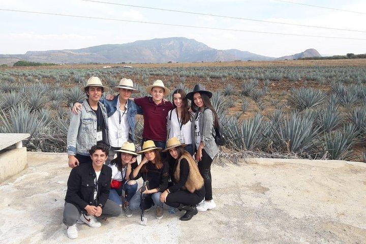 Tequila, Lemon and Salt Tour - Visiting Jalisco