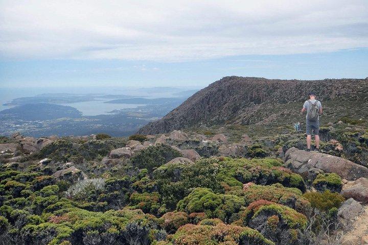 kunanyi/Mt Wellington Explorer Bus- Return Tour (2.5 hours)