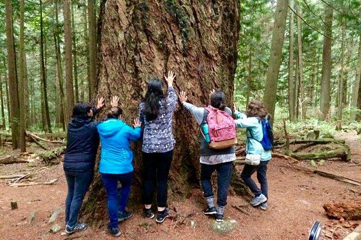 Talking Trees: Stanley Park Indigenous Walking Tour Led by a First Nations Guide