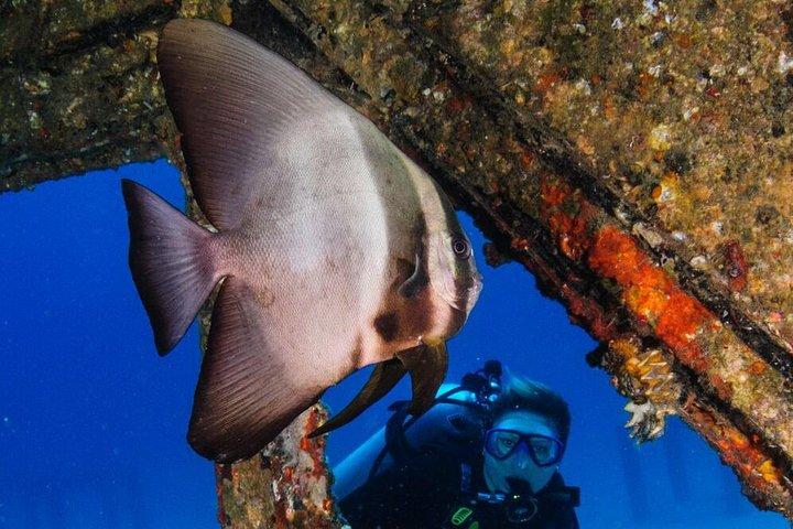 Racha Yai Dive Trip from Phuket