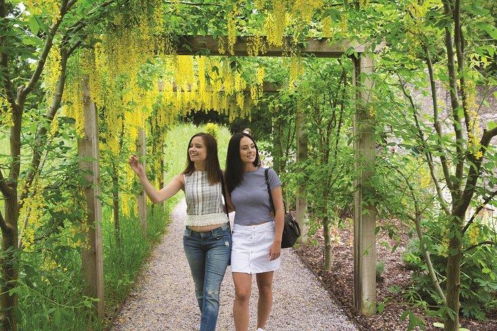 Dublin to Rock of Cashel Cork City and Blarney Castle Guided Tour