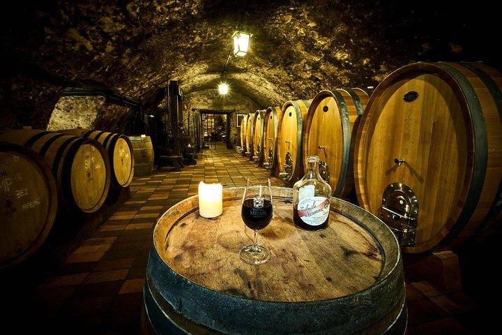 Melnik Chateau with Wine Tasting - a Day Trip from Prague