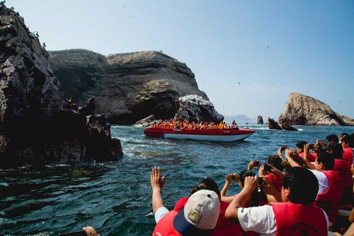 Paracas, Ica and Huacachina Oasis from Lima with Touristic Van