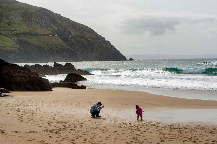 Dingle Peninsula Tour from Killarney: Including Wild Atlantic Way