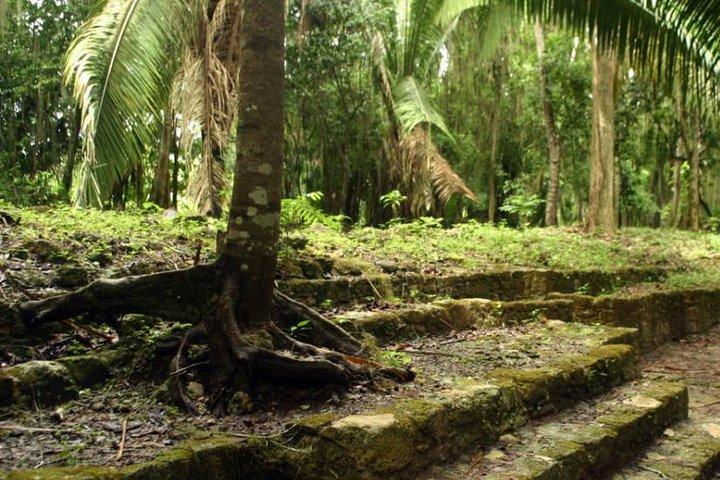 Costa Maya Shore Excursion: Chacchoben Day Trip