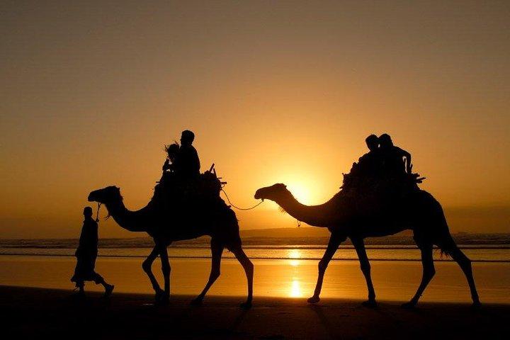 Essaouira Private Full Day Trip From Marrakech
