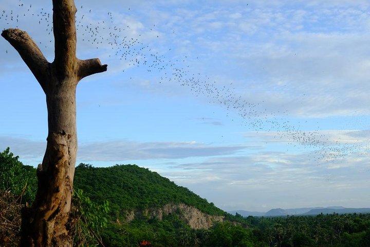 Battambang Full Day Tour from Siem Reap - Bamboo Train, Killing Cave & Sunset