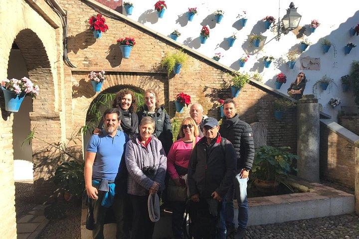 Cordoba Private Tour with Mosque Entrance from Seville