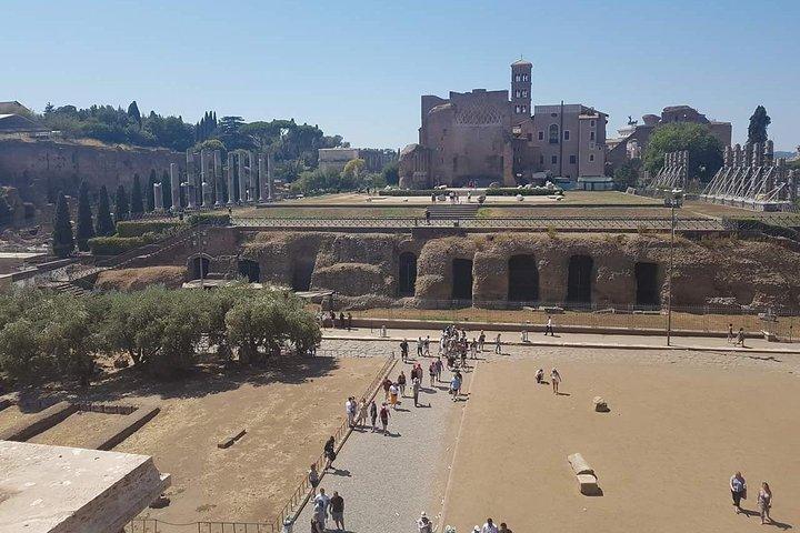 Rome Full Day Tour: Colosseum and Vatican Museums