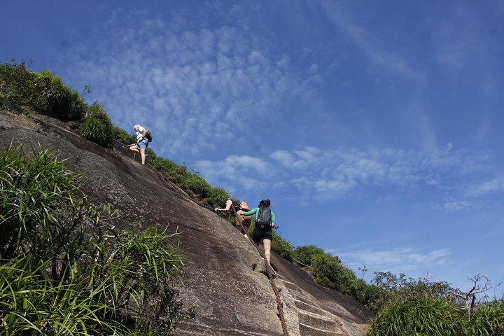 Pico da Tijuca Hiking Tour in Tijuca Forest National Park