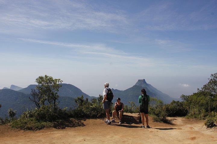 Pico da Tijuca Hiking Tour in Tijuca Forest National Park