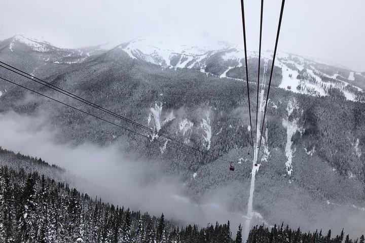 Guided Sightseeing Tour in Vancouver, Shannon Falls and Whistler