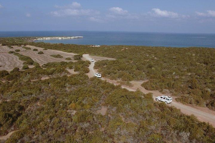 Jeep Safari Akamas from Paphos