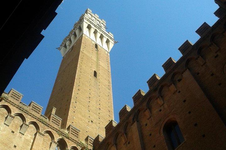 Private Tour: Siena Walking Tour