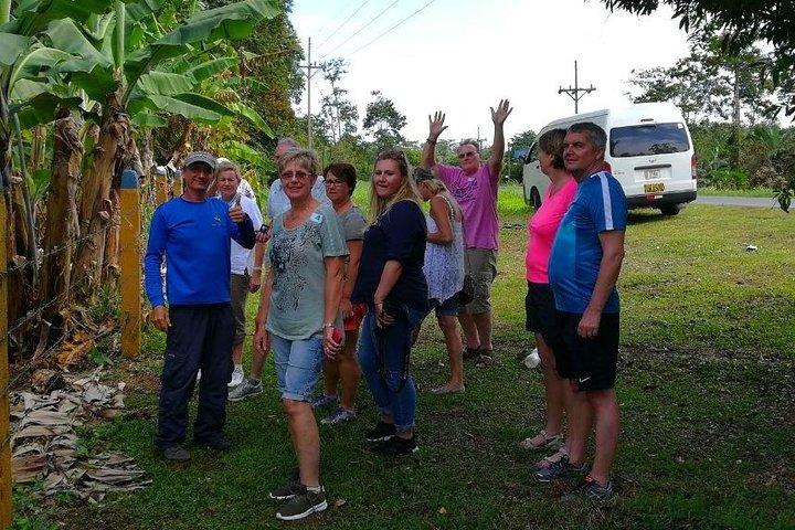 Full-Day Tour to Cahuita National Park from Puerto Limon