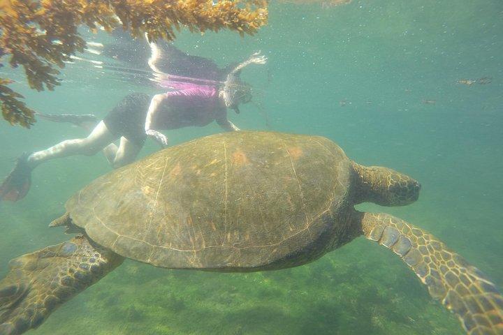 Enjoy the Best of Quito and Galapagos (3 Islands ) 8-Day Trip