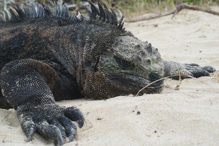 5-Day Galapagos Land Tour exploring San Cristobal & Santa Cruz