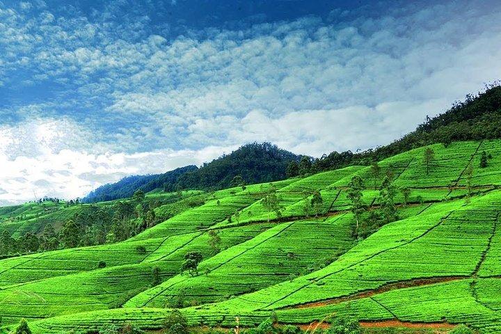 Highlights Of Sri Lanka | 5 Nights 6 Days