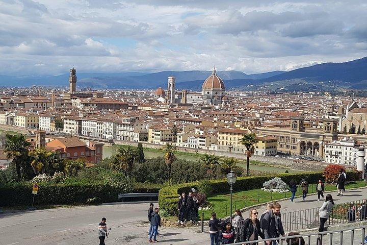Florence in One Day: Private Luxury Tour from Rome