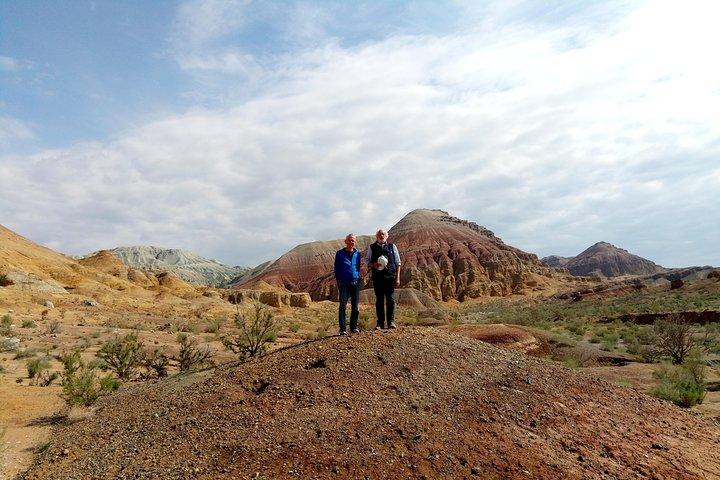 Altyn Emel National Park, Private tour, 2 days from Almaty