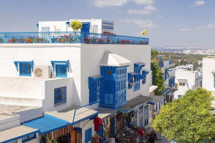 Tunis: Carthage, Bardo Museum, Sidi Bou Said & Medina Group Tour