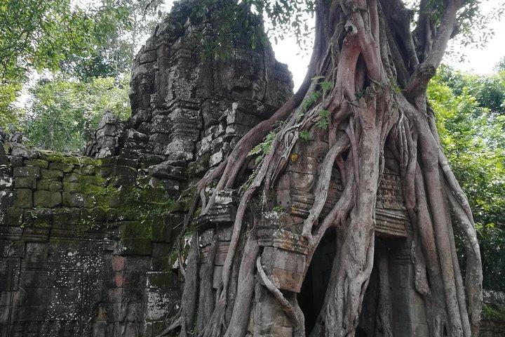 Angkor Grand Circuit Temples Tour
