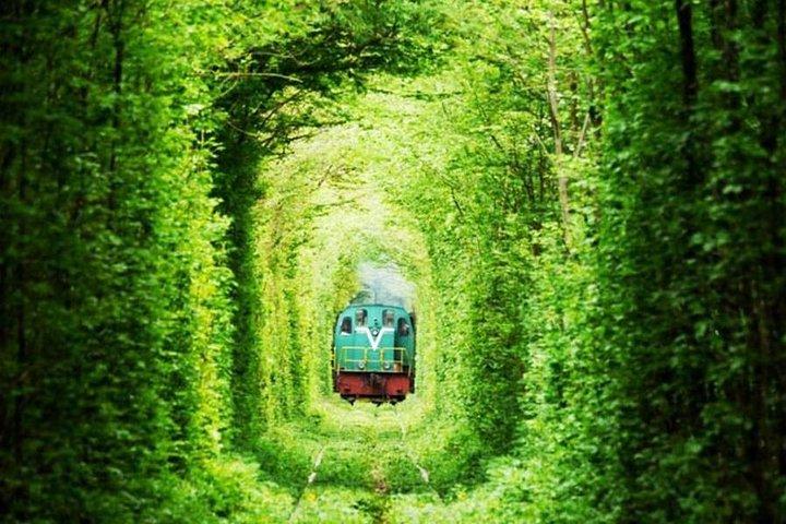 5-Day Private Highlights of the Western Ukraine Tour from Kyiv