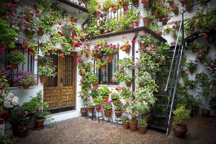 6-Day Guided Tour Andalusia & Madrid from Lisbon