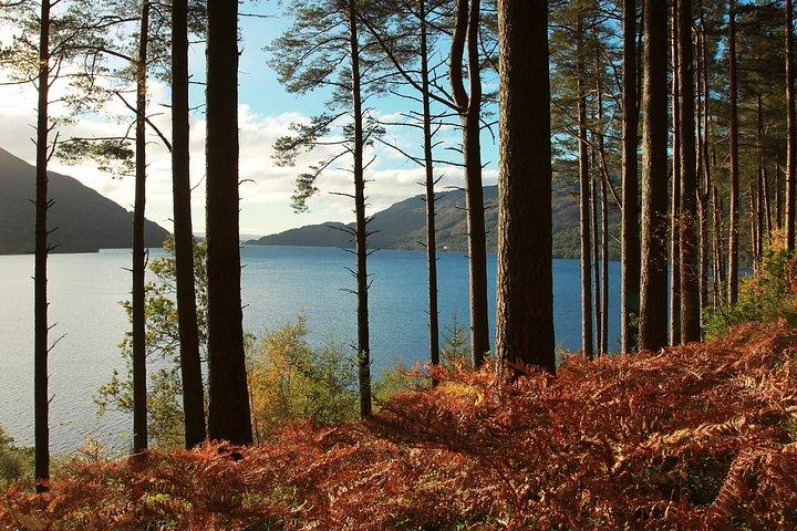 Loch Lomond, Kelpies & Stirling Castle Tour Including Admission