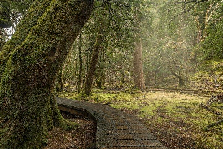 Cradle Mountain - Hobart to Launceston Day Tour