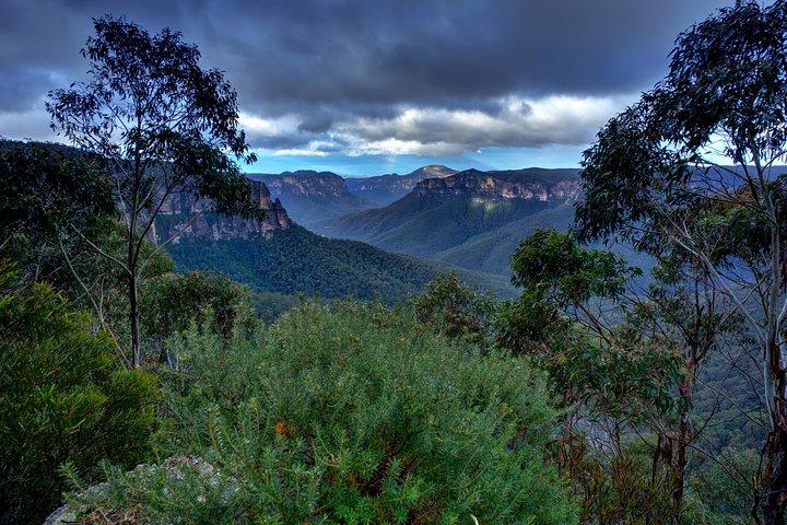 Ultimate Blue Mountains and Wildlife Tour
