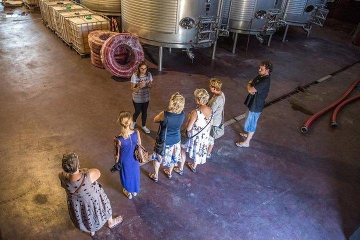 Alicante Countryside Wine Small Group Tour with 4 Tastings