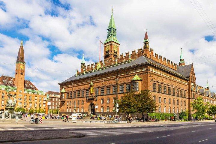 4-Hour Private Hamlet Castle Tour from Copenhagen