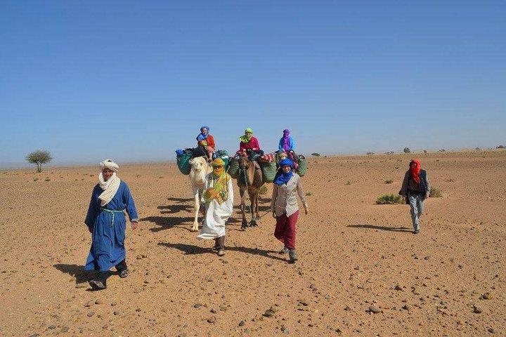 2 Days 1 Night To Zagora Desert From Marrakech