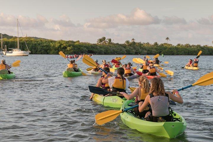 Bio Bay Night Kayaking with Transport from San Juan Area