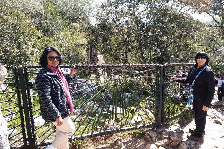 Fatima Experience®