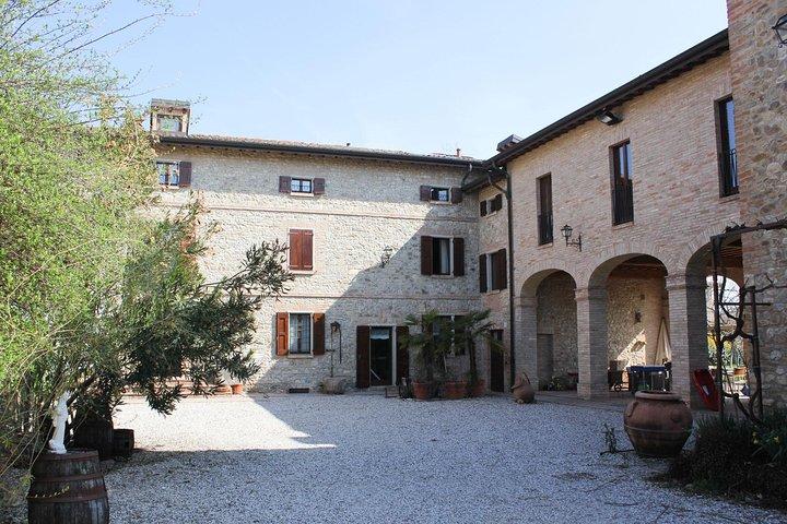 Owner-Led Balsamic Vinegar Tour & Tasting in Vignola, Modena