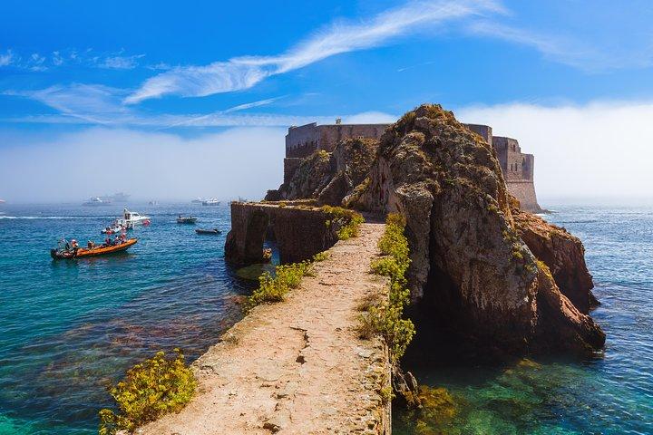 Berlenga Island Full Day Tour from Lisbon