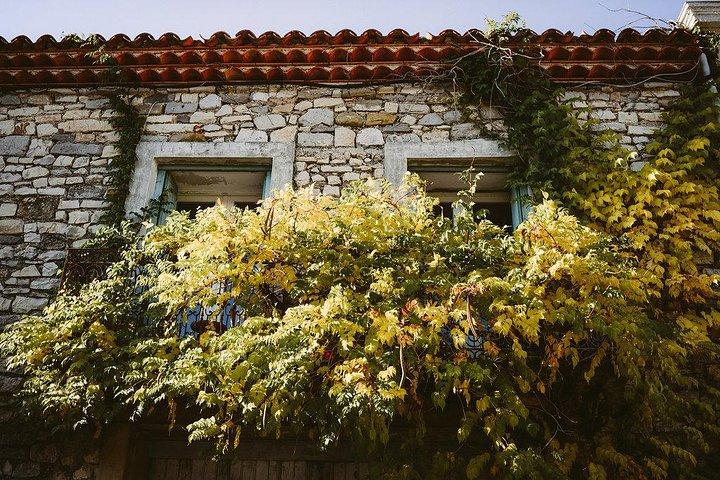 Bertrand Bosc wine and food tour in Pic St Loup