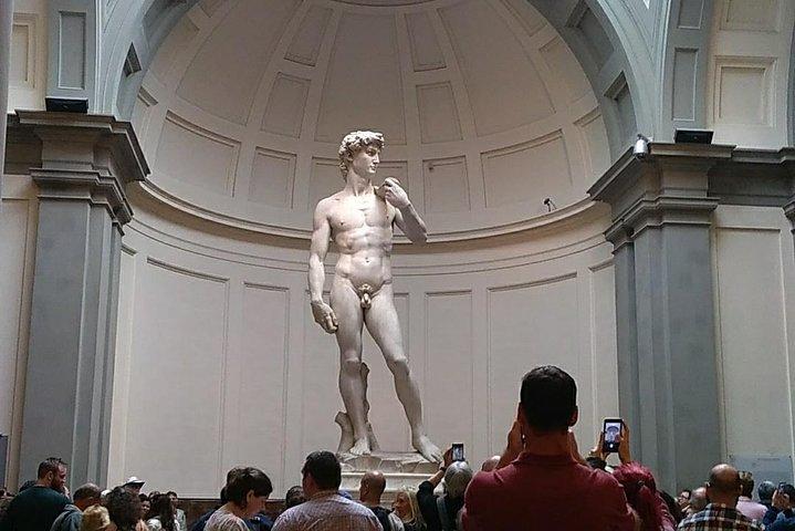 Michelangelo's David tour and entry tickets - Small group tour
