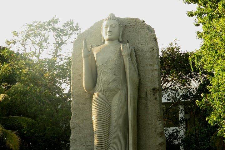 Colombo Port Passenger Jetty Colombo City Kelaniya Temple 4-8 pax
