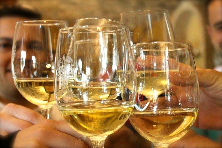 Alicante Countryside Wine Small Group Tour with 4 Tastings