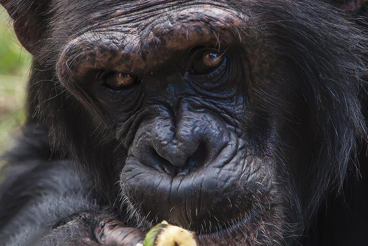 Day tour to Olpejeta Conservancy from Nairobi