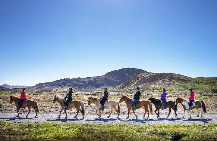 Icelandic Horseback Riding Tour with Pickup Option from Reykjavik