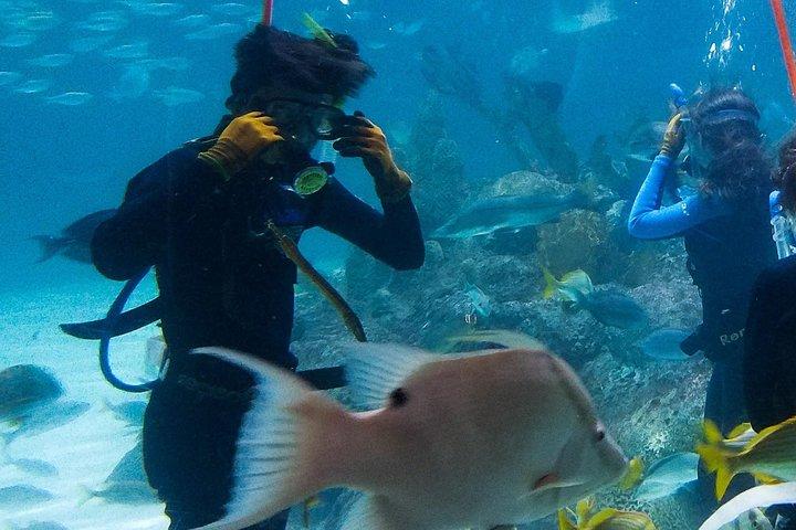 Full-Day Tour of Florida Keys Including Aquarium Encounters from Key West