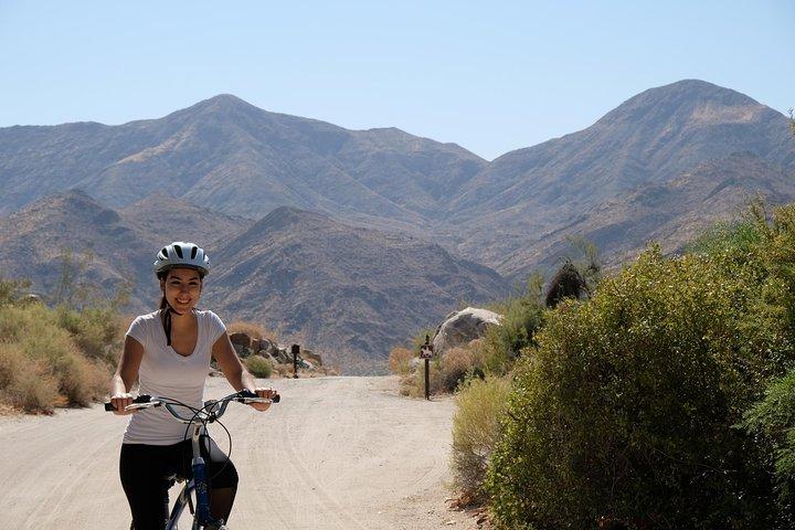 Palm Springs Indian Canyons EBike and Hike